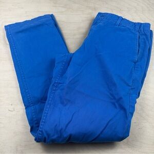 Gap Vibrant Blue Chino Pants